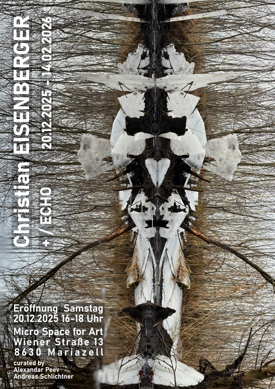 Christian EISENBERGER, + / ECHO, Micro Space for Art, Mariazell, 20.12-14.2.2026