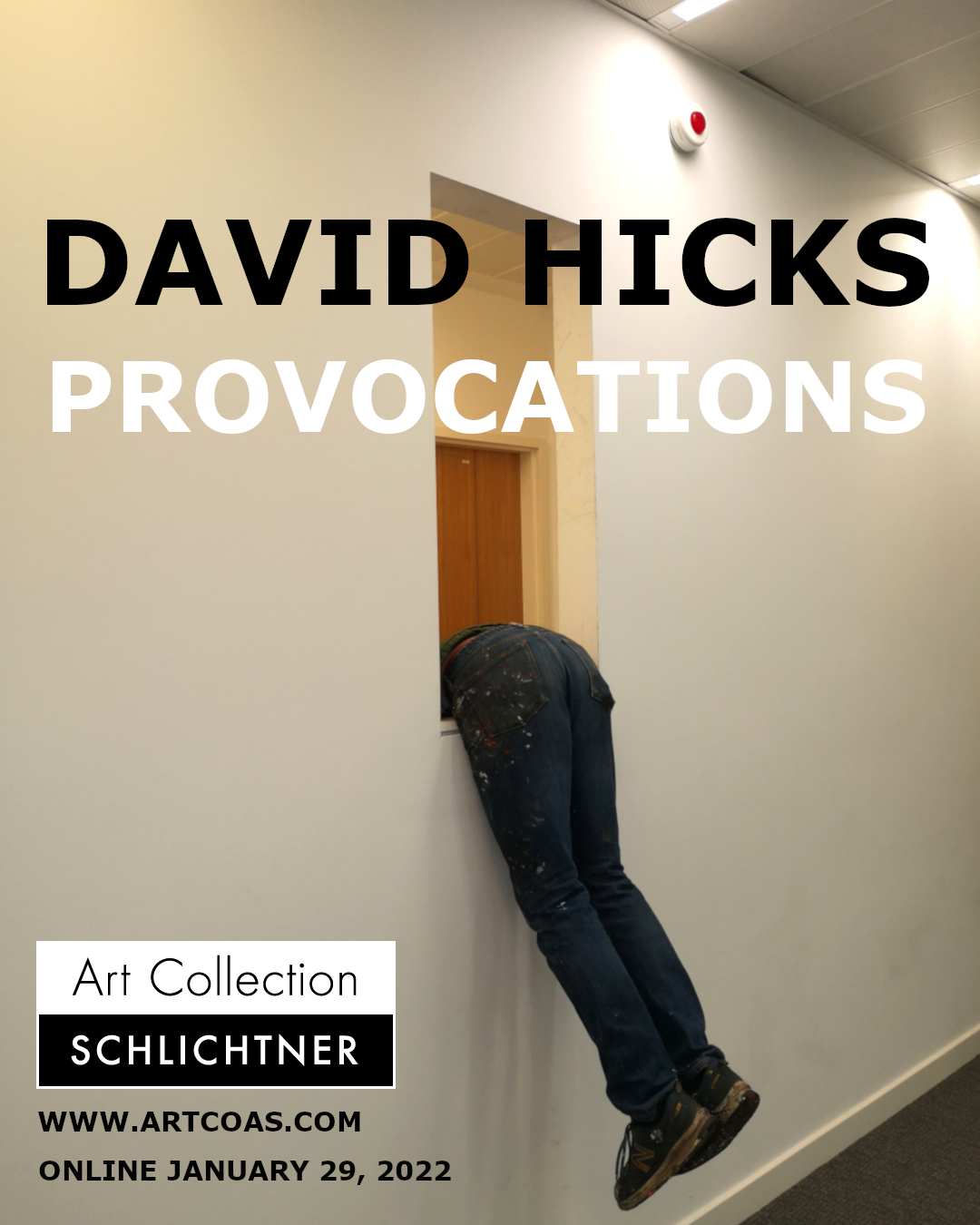 DAVID HICKS – PROVOCATIONS – online solo exhibition – January 29, 2022