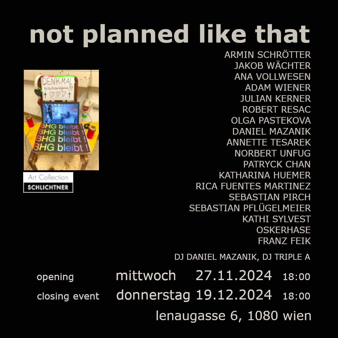 not planned like that – opening: wednesday 27.11. / closing event thursday 19.12.2024 - lenaugasse 6, 1080 Wien